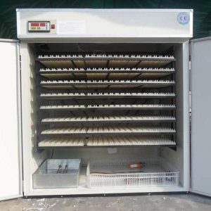 2112 eggs incubator