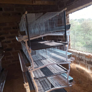 poultry cage