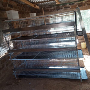 poultry cage