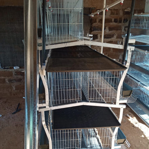 poultry cage