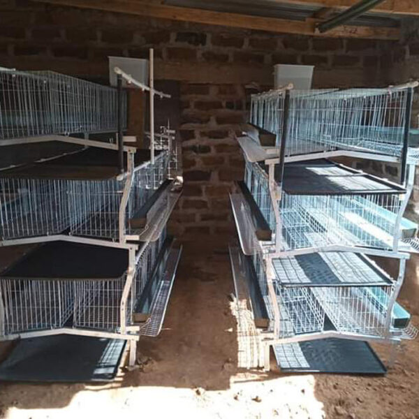 poultry cage