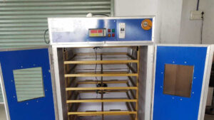 egg incubator