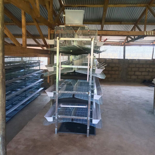 H Type Chicken Cage