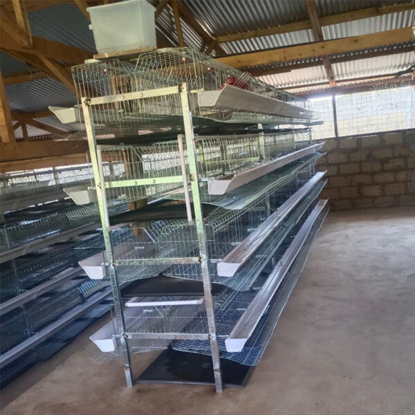 H Type Chicken Cage